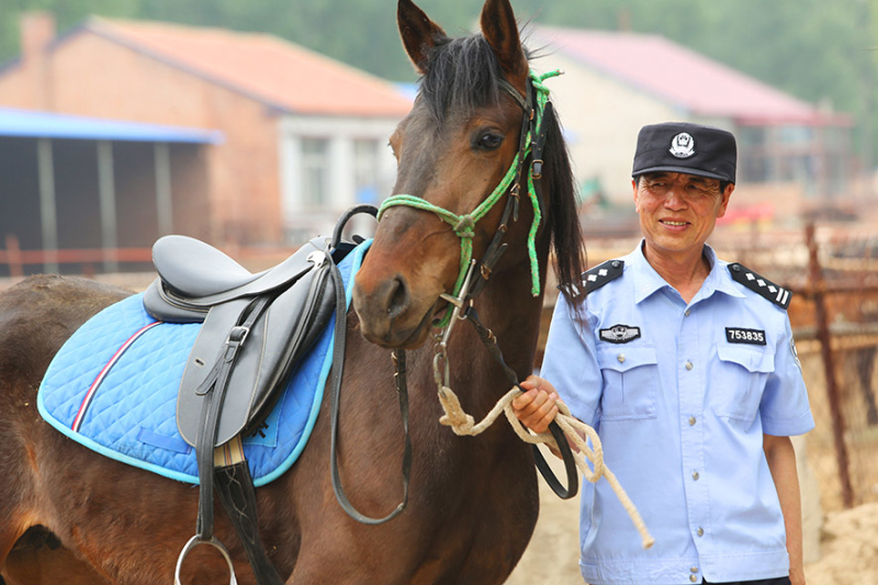 民警每天都悉心照料著愛馬。