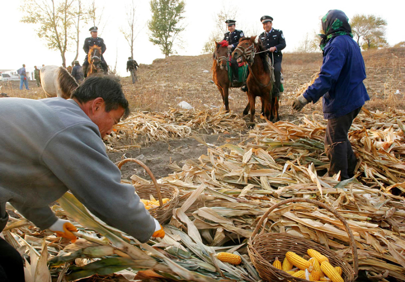 2009年10月，“馬背110”民警在田間巡邏。